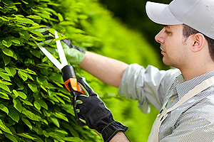 kertgondoz�s Fony�d